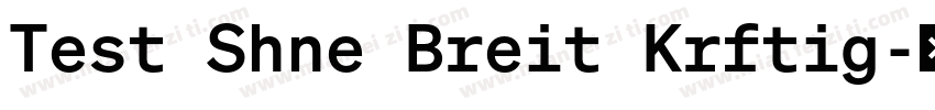 Test Shne Breit Krftig字体转换